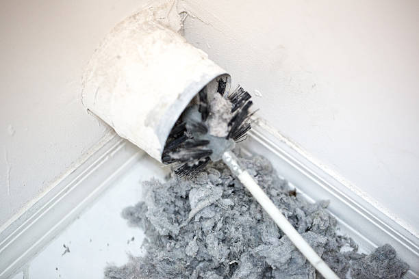 Best Air Duct Sanitizing Services  in St James City, FL